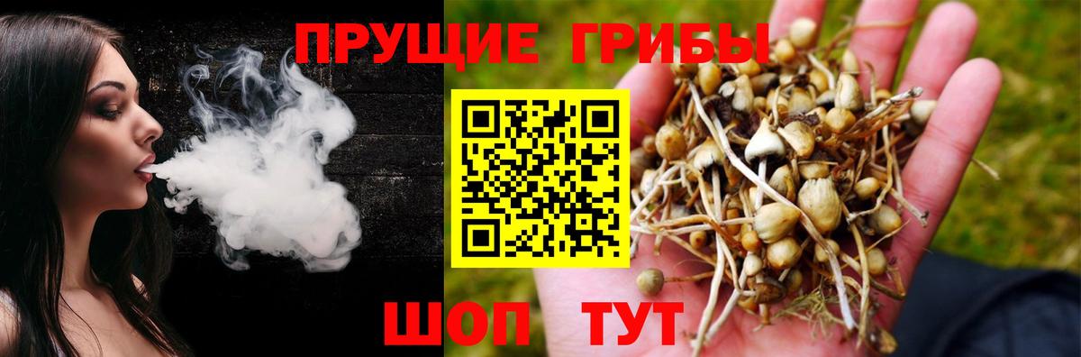 Галлюциногенные грибы Psilocybine cubensis Екатеринбург
